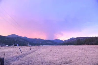 DSC_1834 (Large).JPG